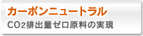 カーボンニュートラル：Co2排出量ゼロ原料の実現
