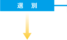 選別